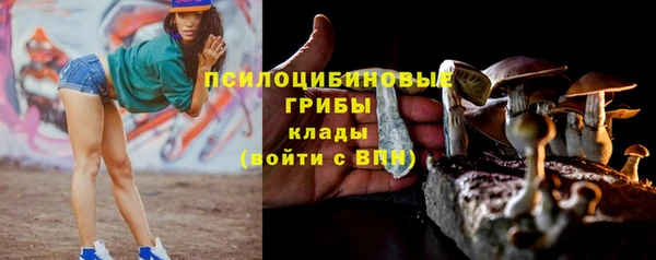 экстази Касимов