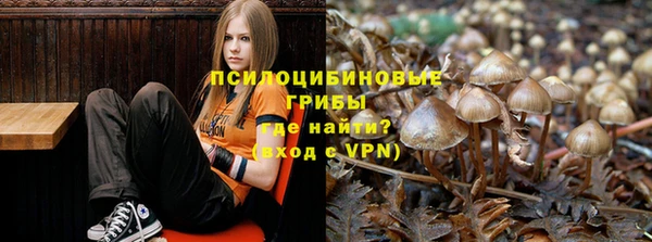 экстази Касимов