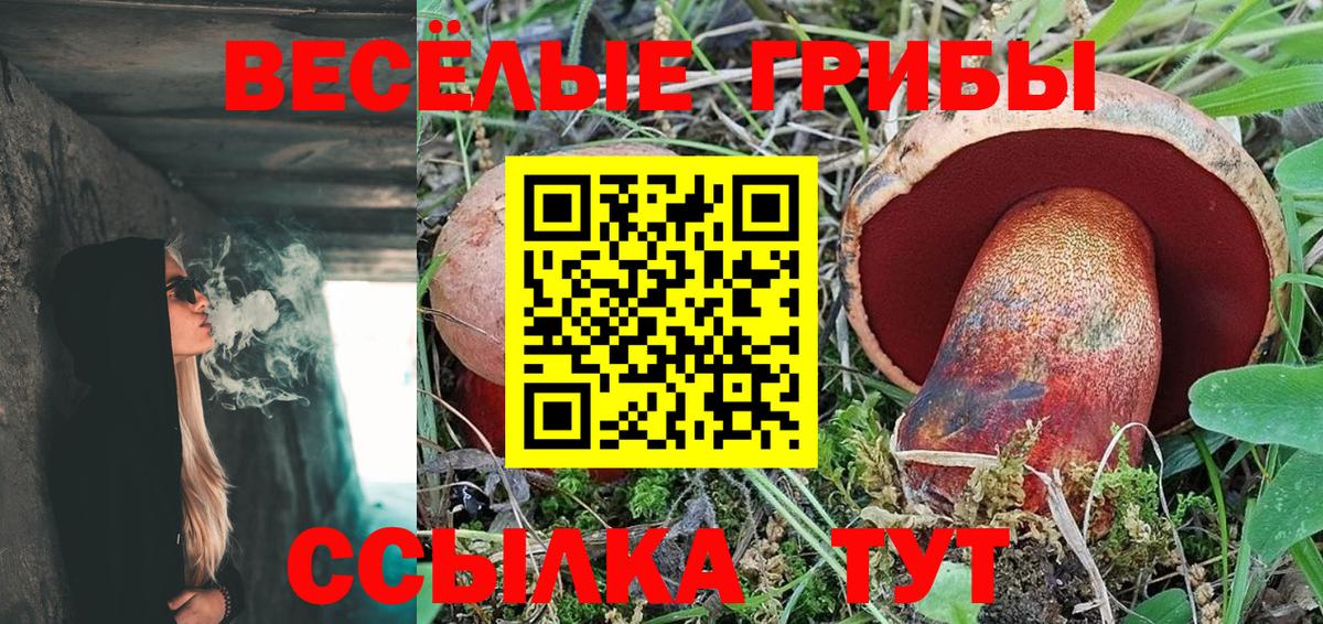 Галлюциногенные грибы мицелий  Вход с VPN  Балаково 